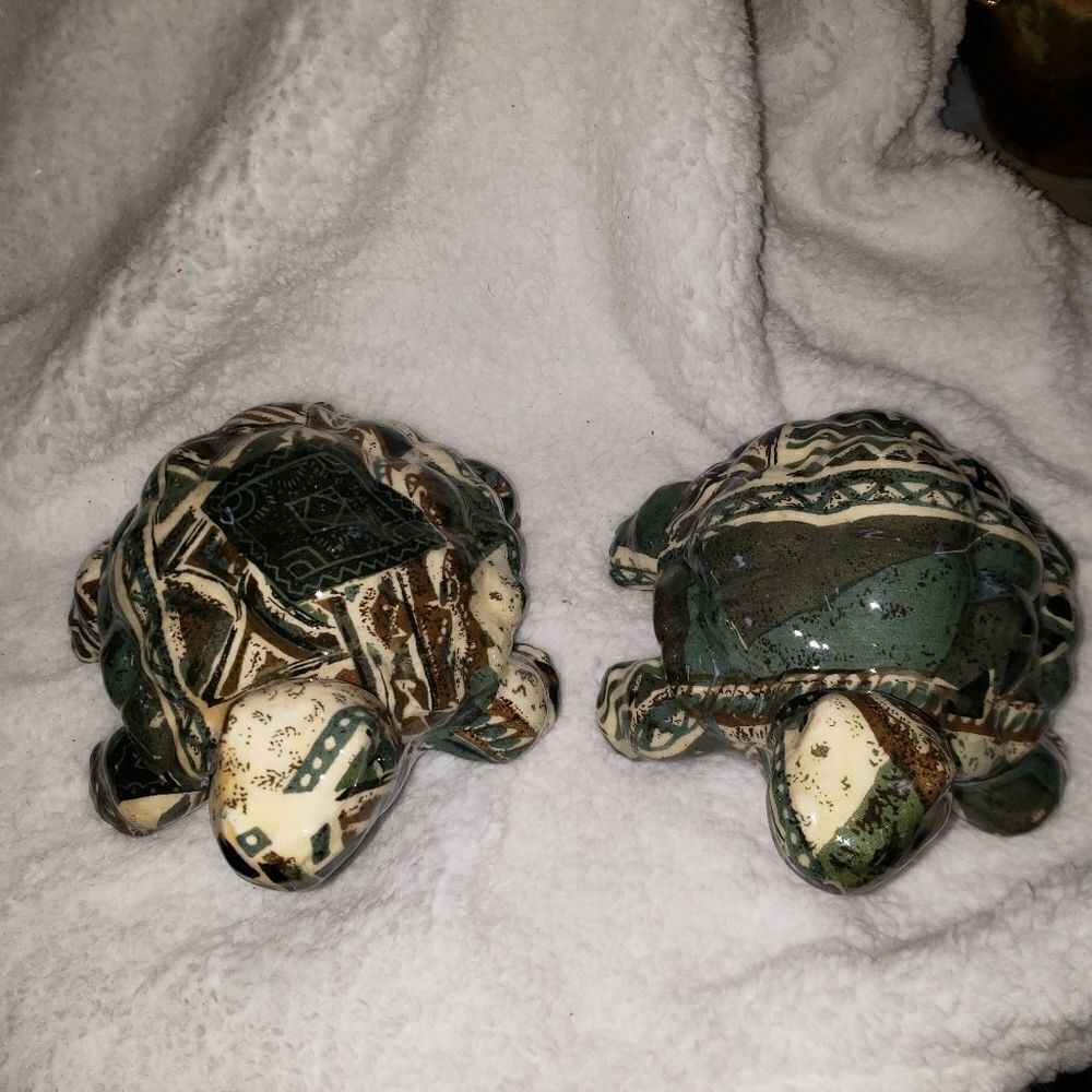 Turtles   - Picture 2 of 7